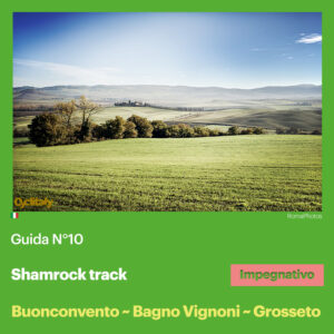 Guida N°10 / Buonconvento ~ B. Vignoni ~ C. del Piano ~ Grosseto