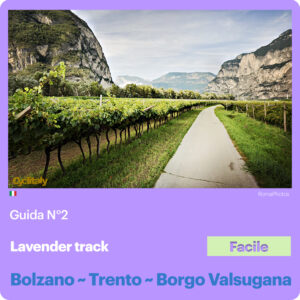 Guida N°2 / Bolzano ~ Trento ~ Borgo Valsugana